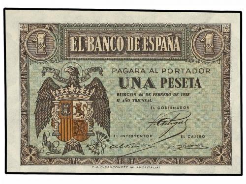 Lote 5973