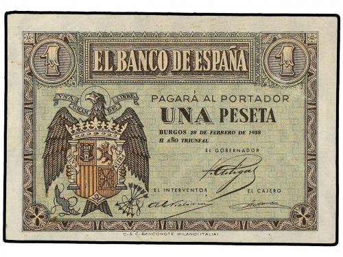 Lote 5976