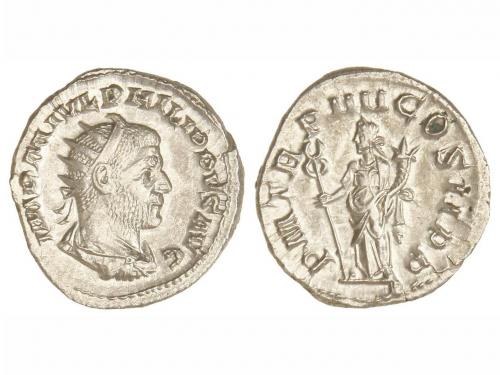 Lot 257