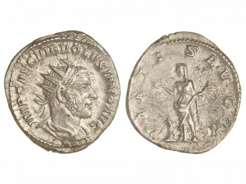 Lote 4105
