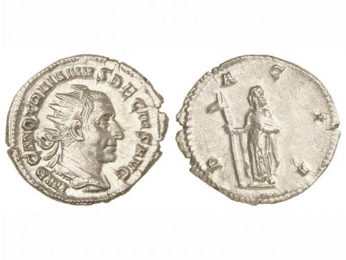 Lot 262