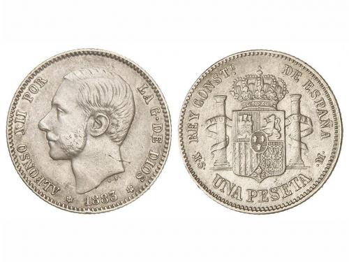 Lote 1136