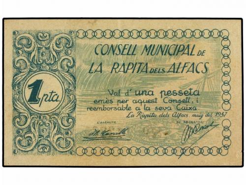 Lote 8333