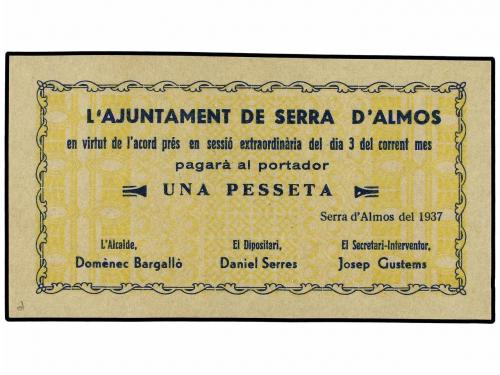 Lote 8446