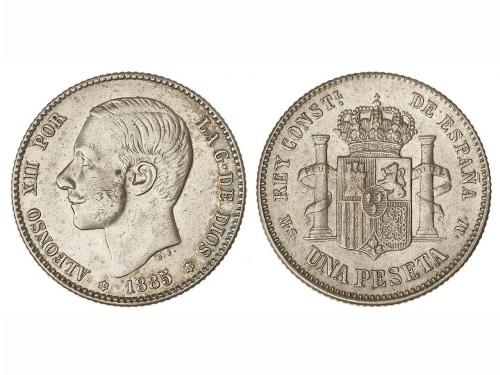 Lote 1137