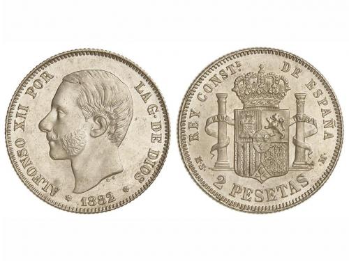 Lote 1146