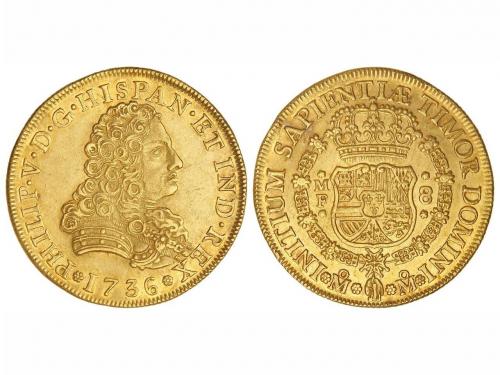 Lote 635