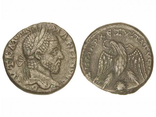 Lot 255