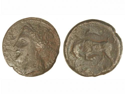Lot 3026