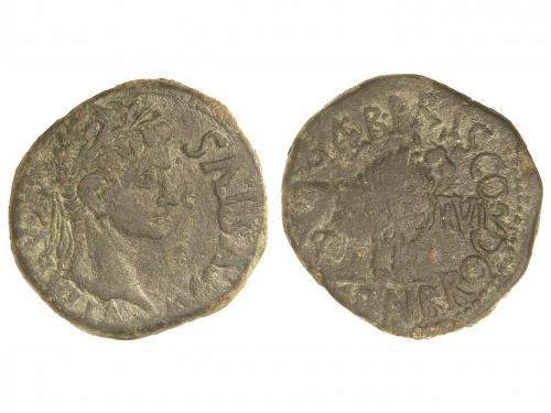 Lot 3224