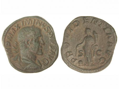 Lote 4053