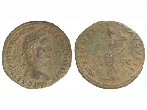 Lot 3683