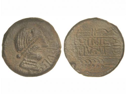 Lot 3393