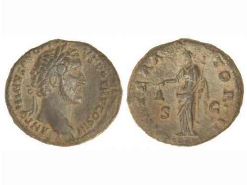 Lot 3753