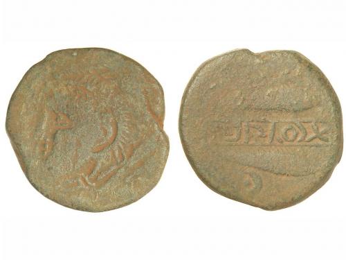 Lot 3464