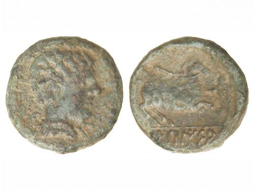 Lot 3448