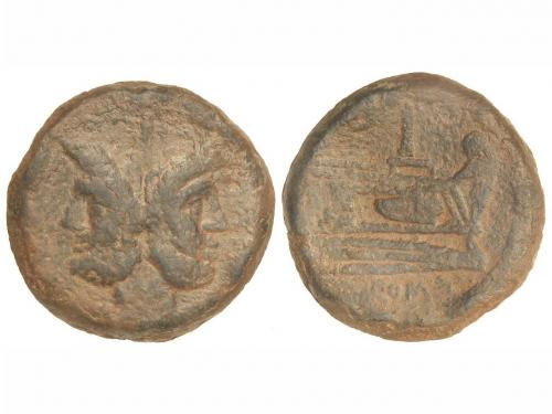 Lot 3504