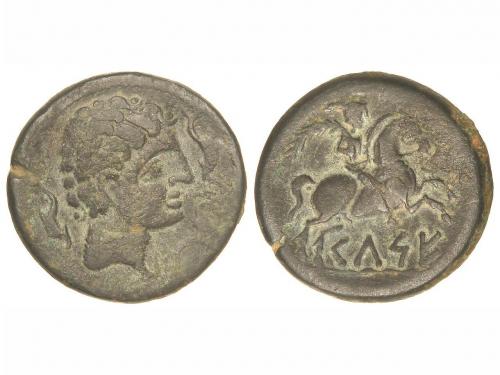 Lot 3264