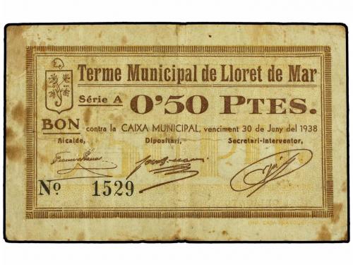 Lote 8067