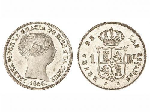 Lote 1001