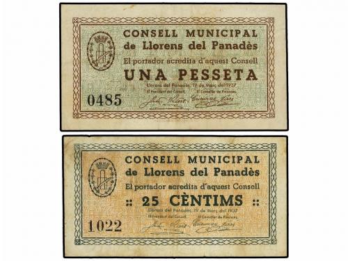 Lote 8064