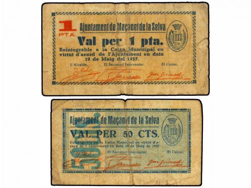 Lote 8071