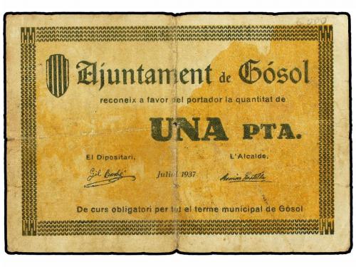 Lote 8003