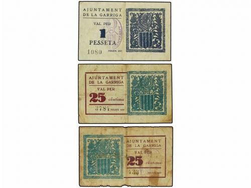 Lote 7981