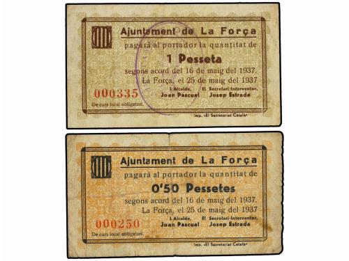Lote 7960