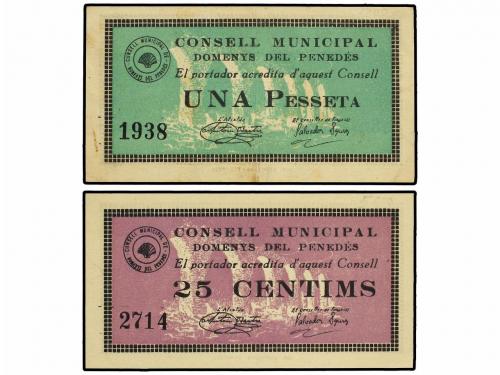 Lot 7919