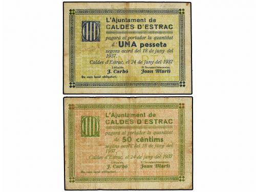 Lote 7804