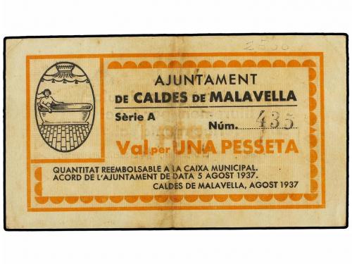Lote 7806