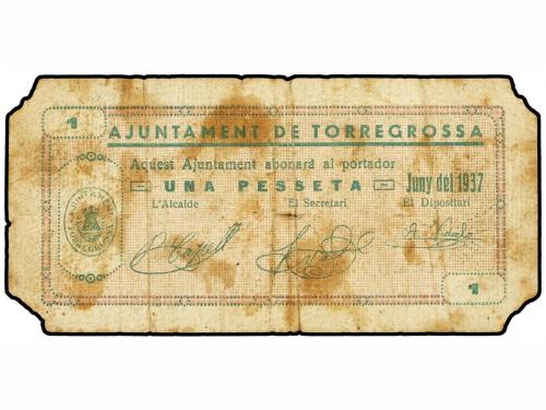 Lote 8509