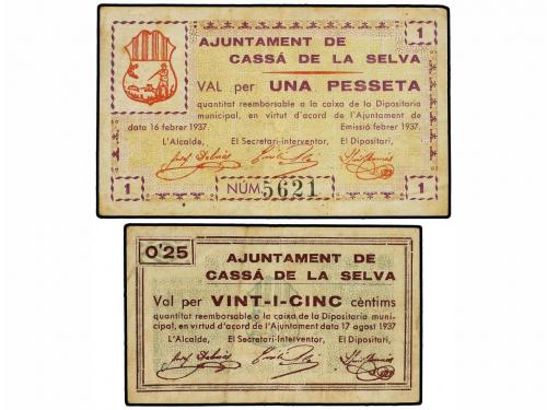 Lote 7842