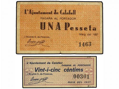 Lote 7801