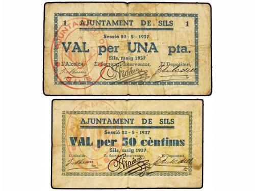 Lote 8454