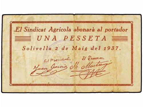 Lote 8567