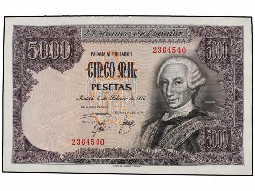 Lote 5855