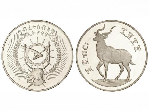 Lote 4686