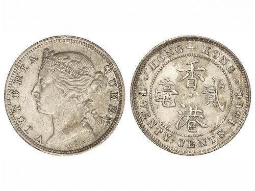 Lote 4971