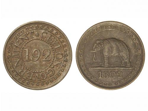 Lote 5349