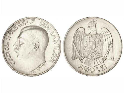 Lote 5299