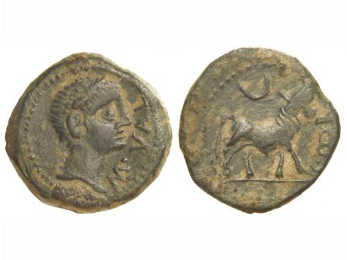 Lot 3257