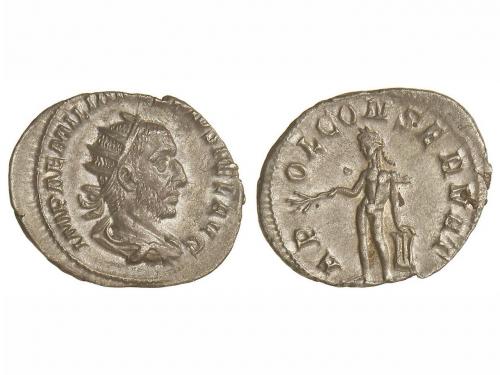 Lot 268