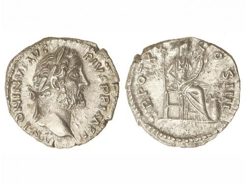 Lot 3801