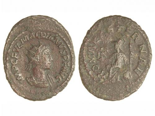 Lot 247