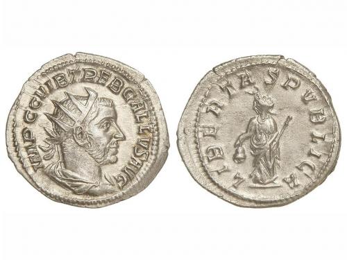 Lot 2828