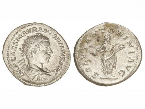 Lot 229