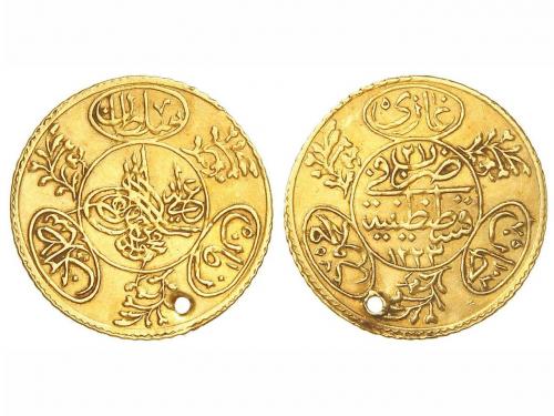 Lote 3133