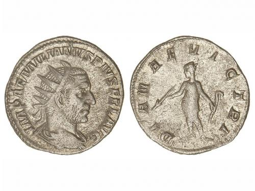 Lot 241
